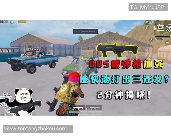 和平精英心理素质排行榜揭晓IG战队荣登第三名引发热议